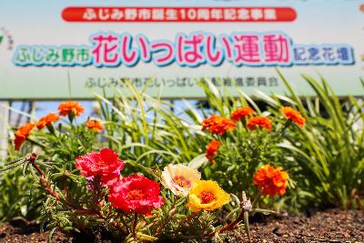 花壇整備の様子4