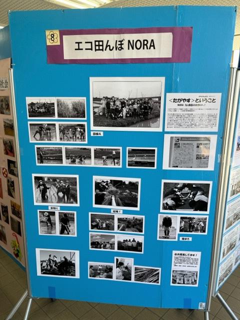 エコ田んぼNORA