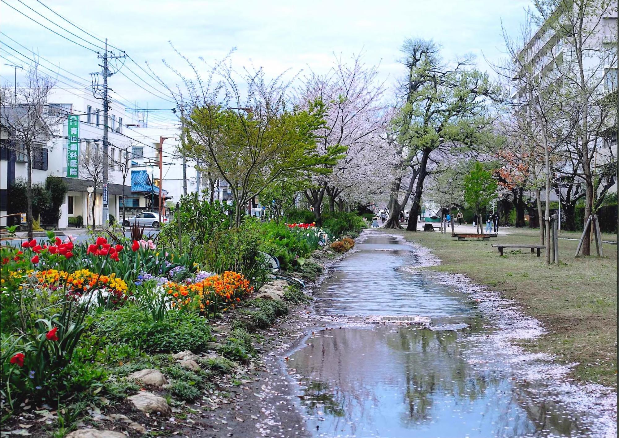【最優秀】「雨上がり」 櫻井勲 (福岡中央公園)