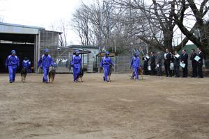 青い制服を着た施設の方が、盲導犬の横を歩いており、5組の犬と施設の方が歩いて訓練をしている様子を市長と関係者の方が見学をしている写真