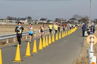 沿道に黄色のポールが置かれその内側をランナーたちが走っている写真