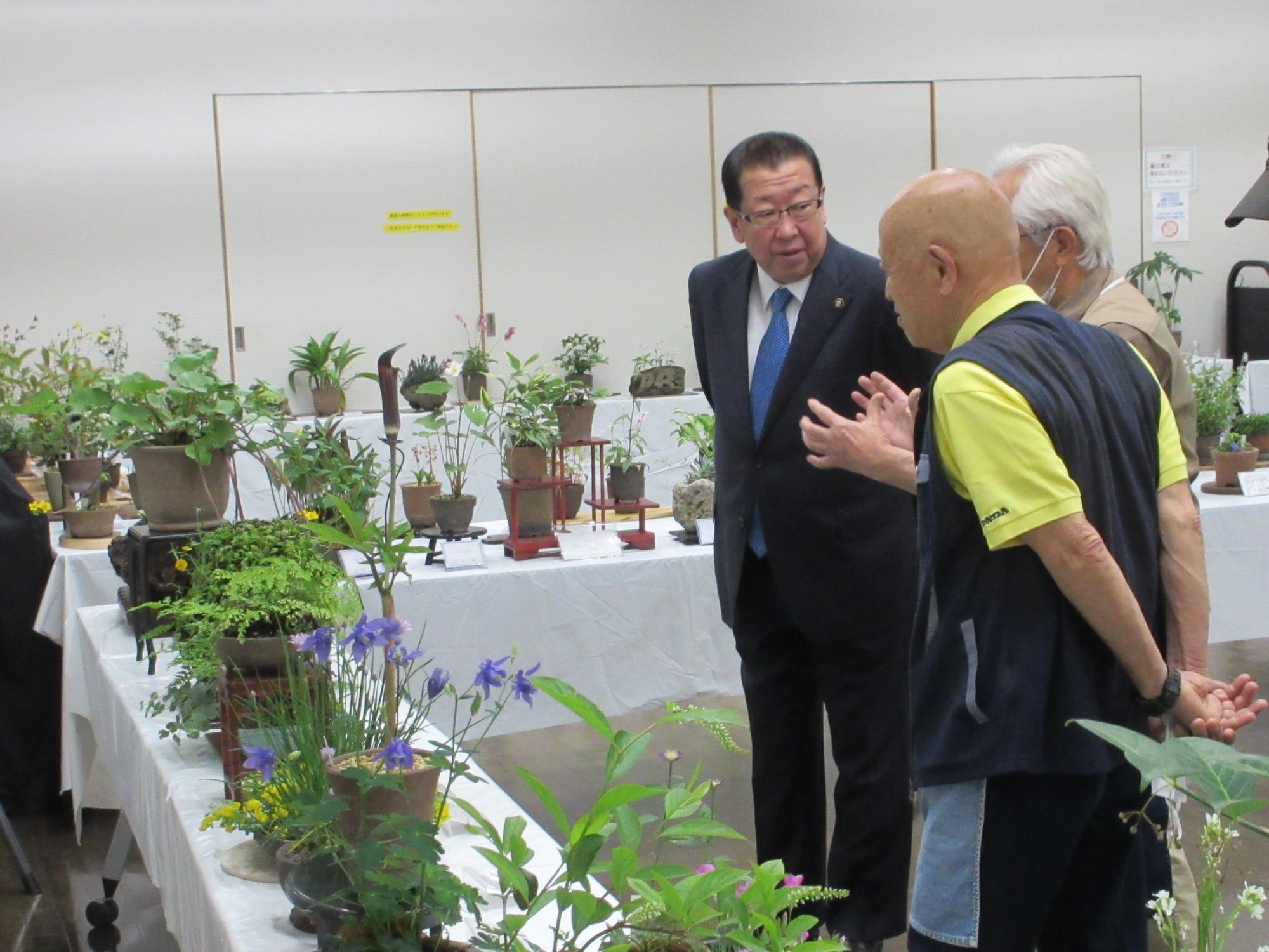 四季山草会山野草展1