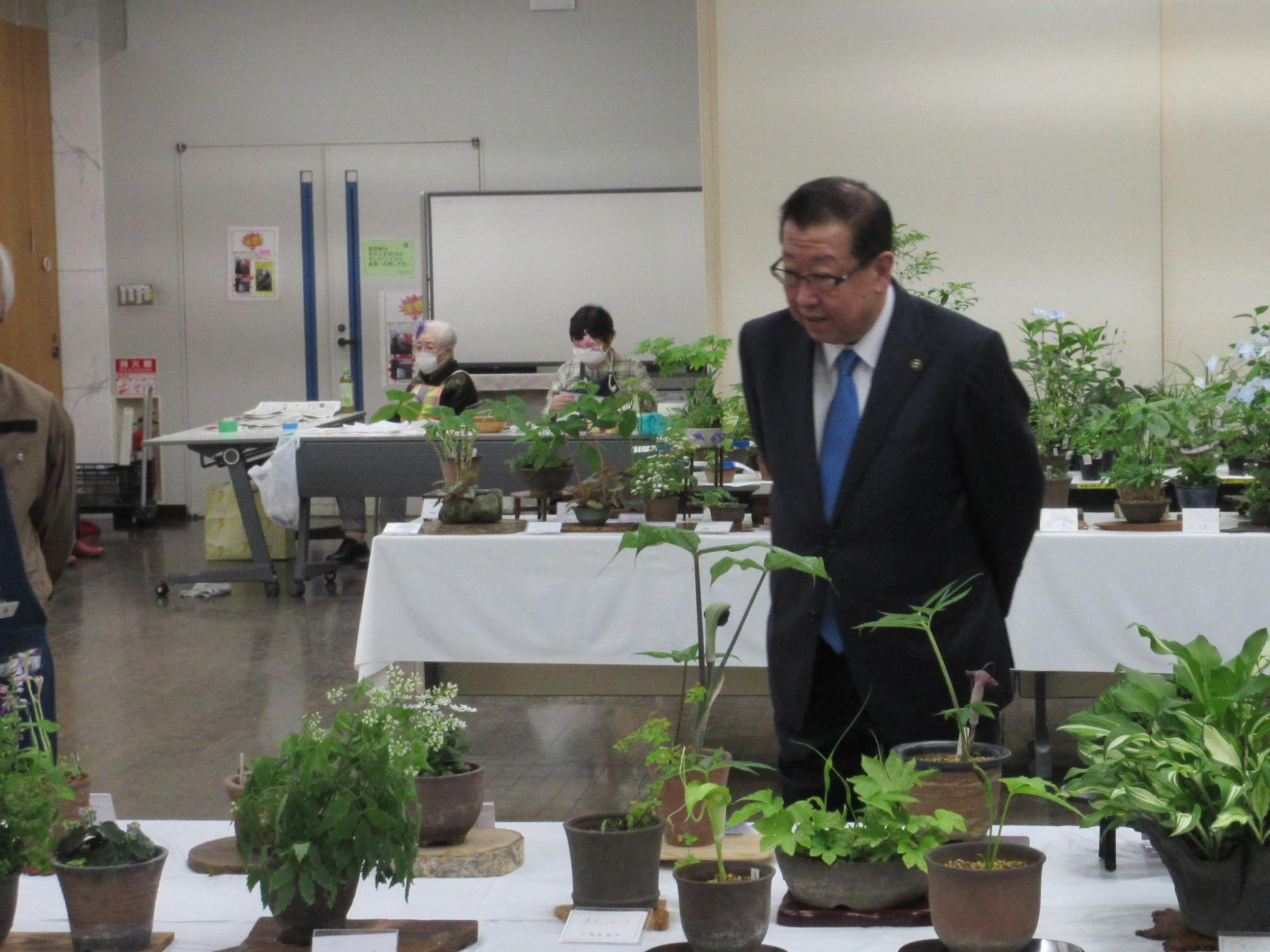 四季山草会山野草展2