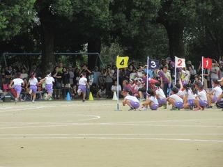グラウンドで徒競走が行われており、走っている児童と、走り終わった児童が番号の旗の後ろに整列して座っている写真
