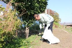 美化活動で市長がごみ袋を手に持って、落ちているゴミを火ばさみで掴んでゴミ袋に入れている写真