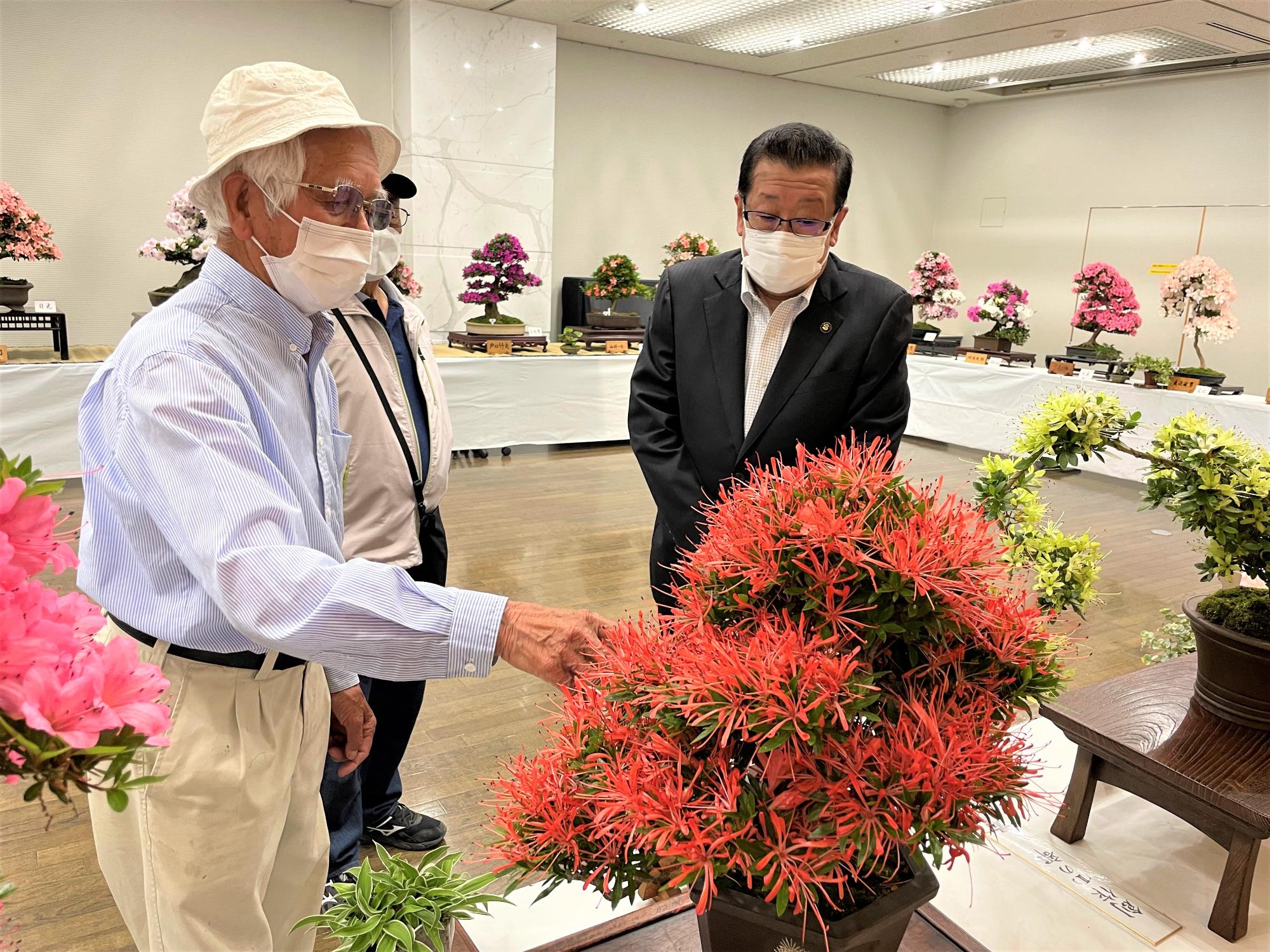 さつき盆栽展示会1