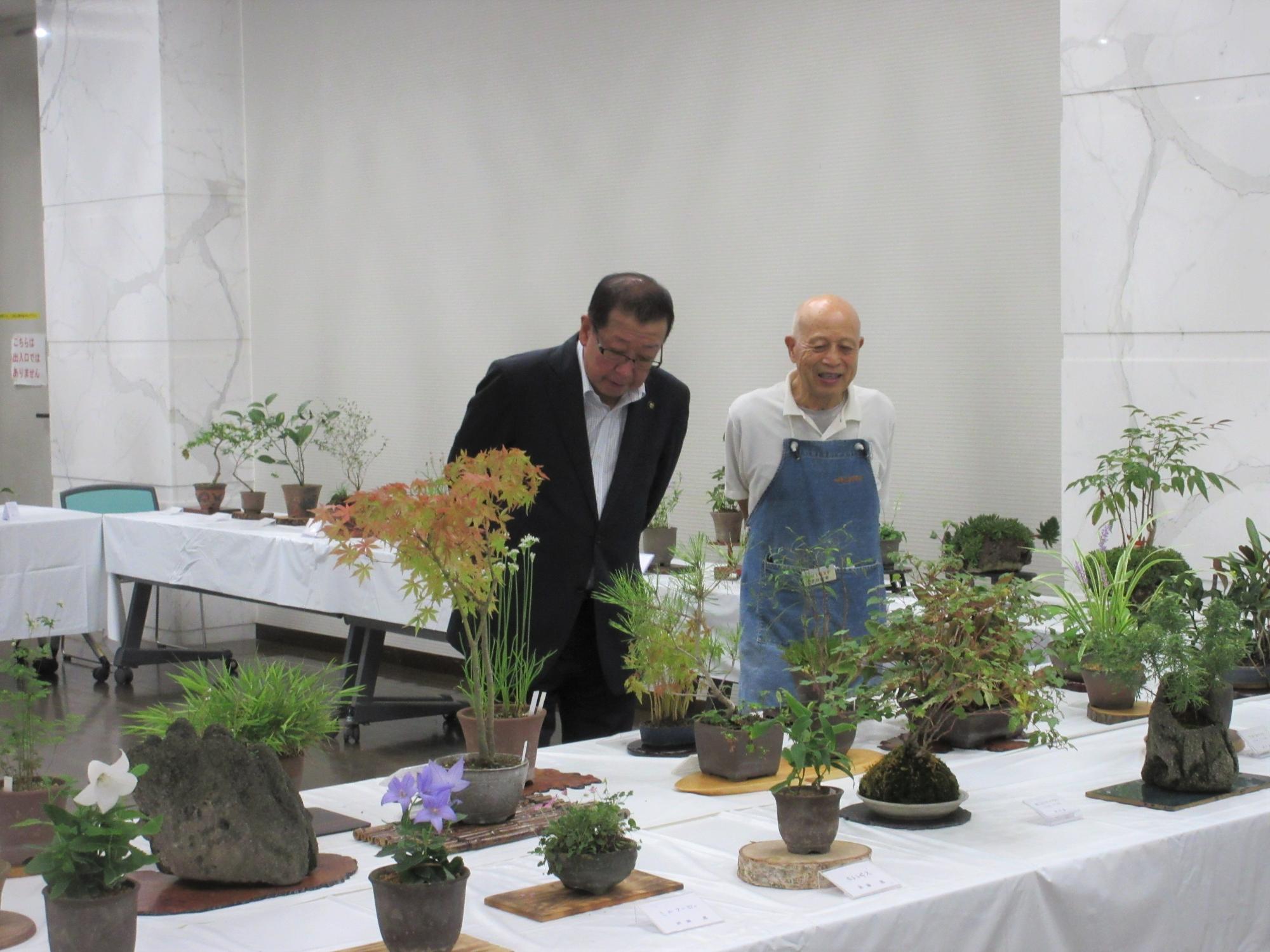2024100301秋の山野草展