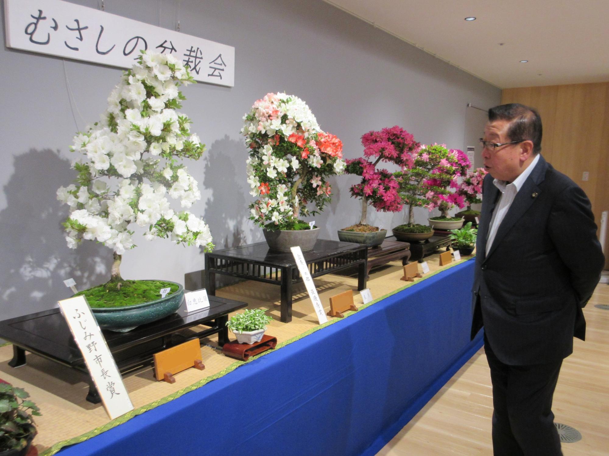 2026052901さつき盆栽展