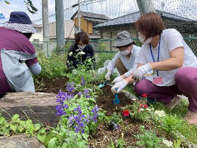 福岡小学校花壇ボランティア