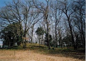 権現山古墳の写真