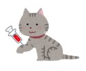 注射をしている猫のイラスト