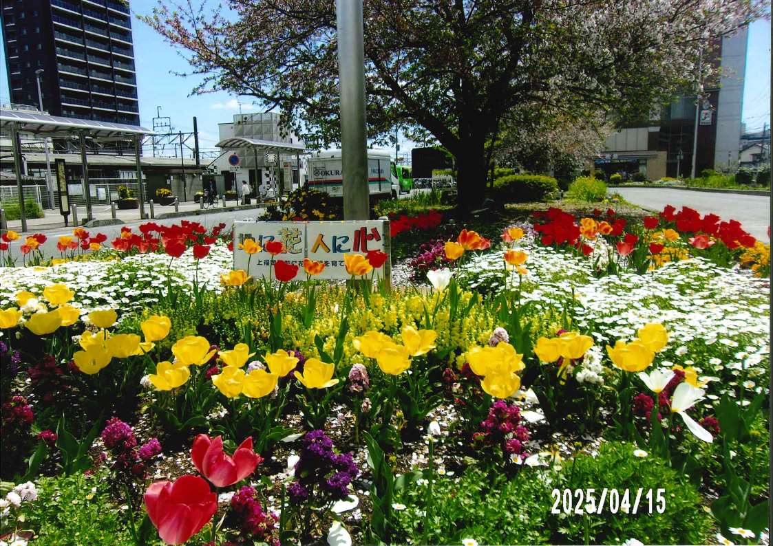 【最優秀】「上福岡西口駅前の花だん（駅前のいこいの場）」  岩？ 公夫さん （上福岡西口駅前花壇）