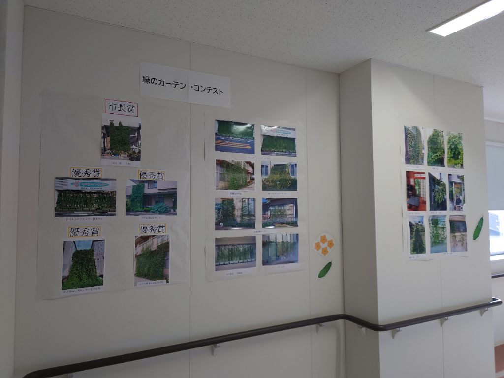 緑のカーテンコンテスト作品