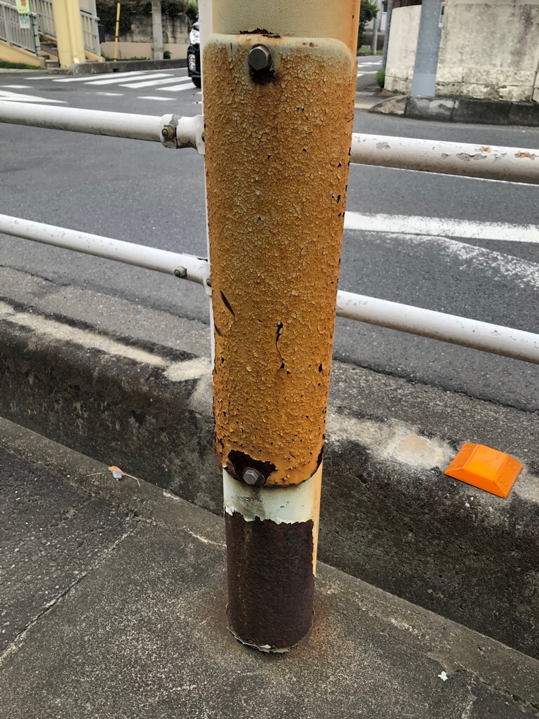 標識写真