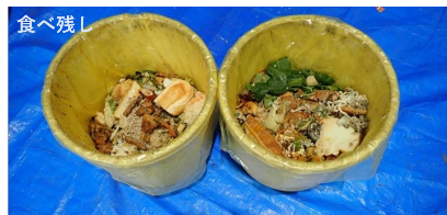 食品ロス調査_食べ残し