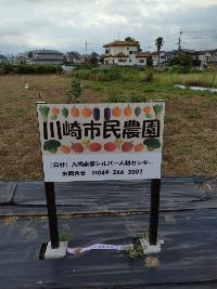 川崎市民農園