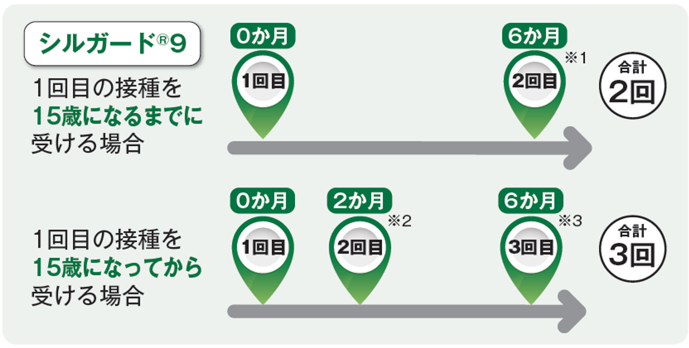 HPV9価接種スケジュール