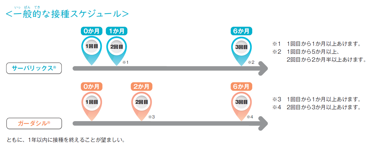 HPV2価・4価接種スケジュール