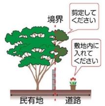 民有地の木の枝葉が道路上まではみ出しているイラスト