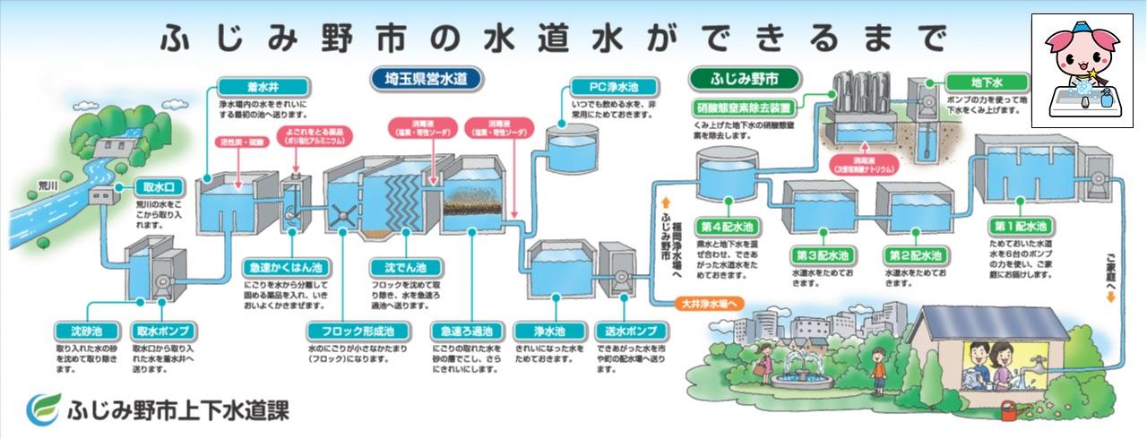 ふじみ野市の水道水ができるまで。埼玉県営水道。取水口、荒川の水をここから取り入れます。沈砂池、取り入れた水の砂を沈めて取り除きます。取水ポンプ、取水口から取り入れた水を着水井へ送ります。着水井、浄水場内の水をきれいにする最初の池へ送ります。急速かくはん池、にごりを水から分離して固める薬品を入れ勢いよくかき混ぜます。フロック形成池、水のにごりが小さなかたまり(フロック)になります。沈でん池、フロックを沈めて取り除き、水を急速ろ過池へ送ります。急速ろ過池、にごりの取れた水を砂の層でこし、さらにきれいにします。PC浄水池、いつでも飲める水を、非常用にためておきます。浄水池、きれいになった水をためておきます。送水ポンプ、できあがった水を市や町の配水場へ送ります。ふじみ野市福岡浄水場へ。地下水、ポンプの力を使って地下水をくみ上げます。亜硝酸態窒素除去装置、くみ上げた地下水の硝酸態窒素を除去します。第4配水池、県水と地下水を混ぜ合わせ、できあがった水道水をためておきます。第3配水池、水道水をためておきます。第2配水池水道水をためておきます。第1配水池、ためておいた水道水を6台のポンプの力を使い、ご家庭にお届けします。