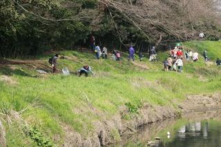 河川敷でごみを拾う参加者の写真