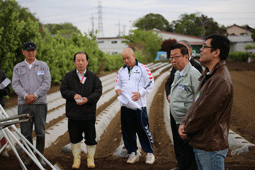 ふじみ野市蕎麦商組合の代表者5名とそば畑で話をしている市長の写真