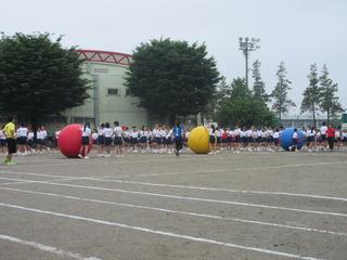 中学校の体育祭にて赤、黄色、青色の大きな玉転がしが行われている写真