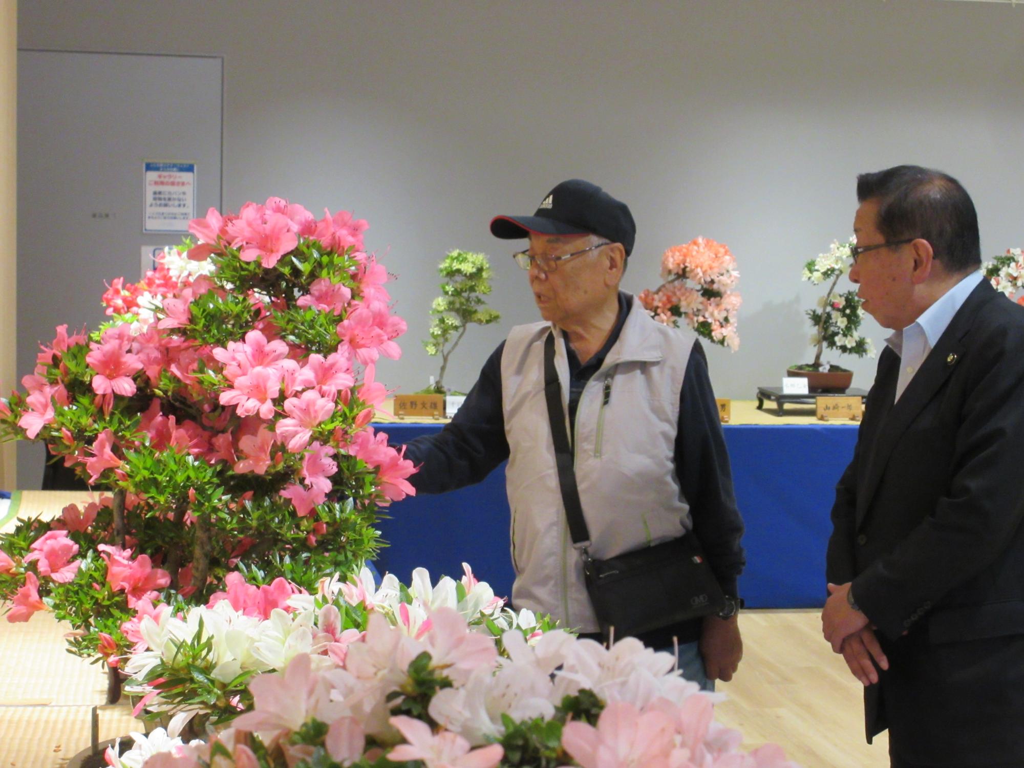 さつき盆栽展1