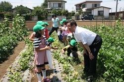 三角小学校にて畑の収穫をする生徒と話をする市長の写真