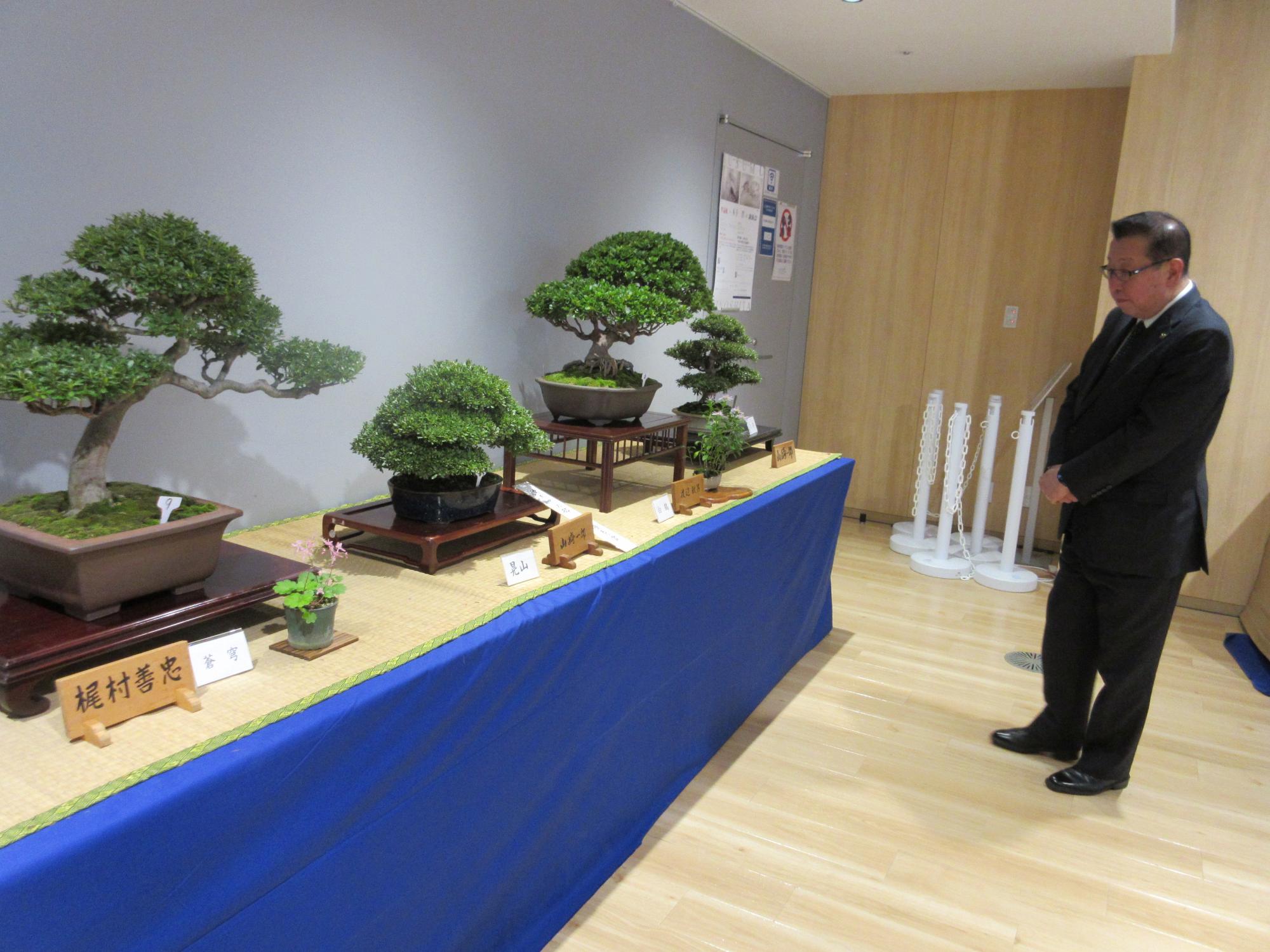 むさしの盆栽会さつき展