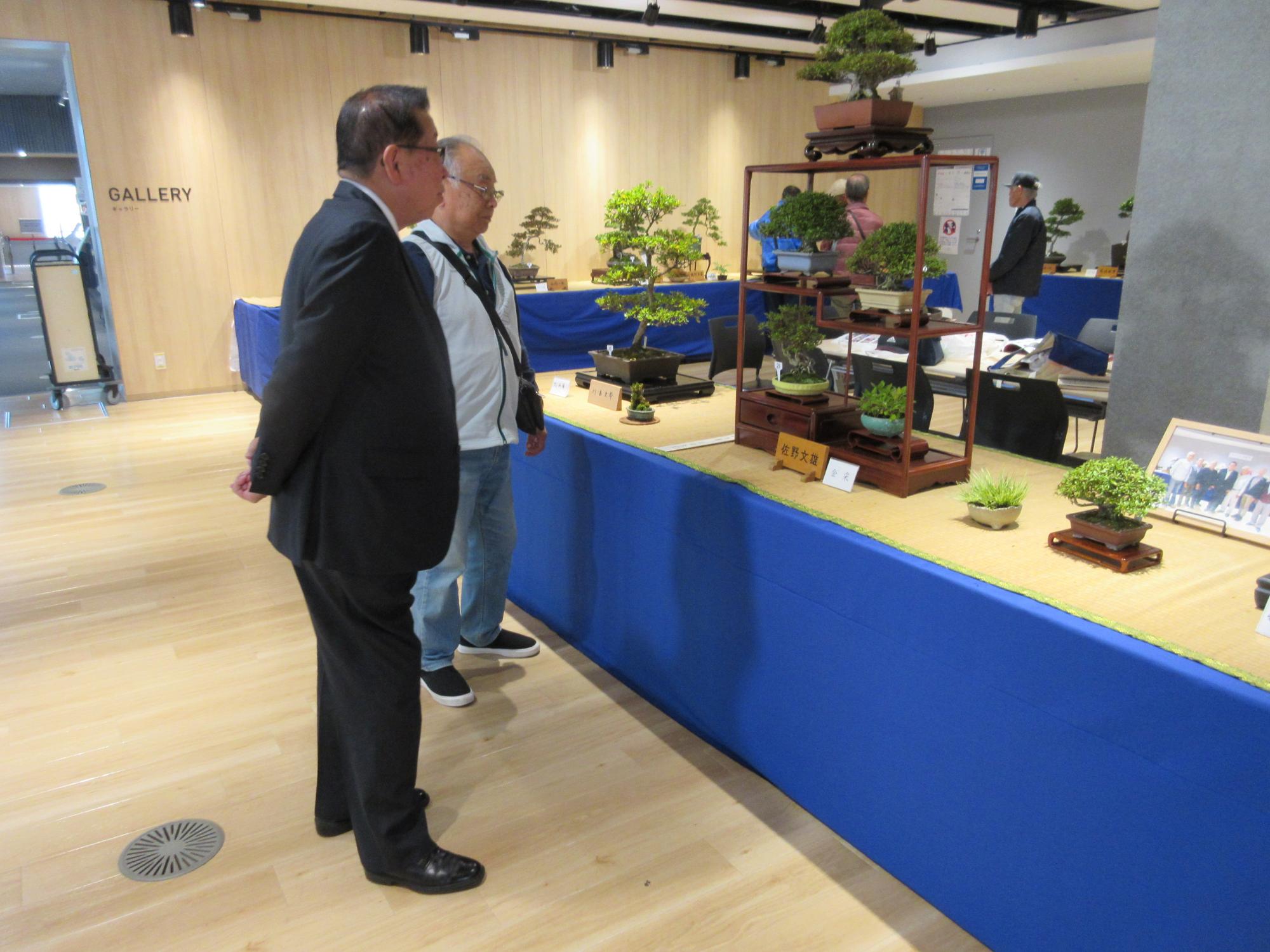 むさしの盆栽会さつき展