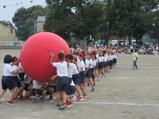 赤いハチマキを締めた児童が2列になって整列しており、赤い大きな大玉を列の先頭から最後尾まで運んでいく競技をしている写真