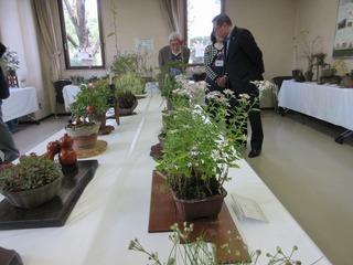 白色のクロスがかかった長テーブルの上に、鉢や盆栽などの作品が並び、奥に市長が写っている写真