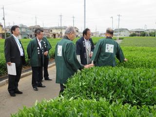 茶畑で丸康園のスタッフから説明を受ける上田知事や市長たちの写真
