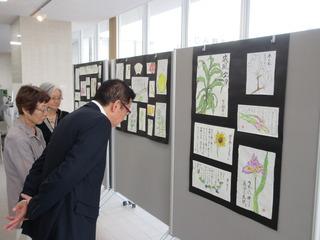 壁に貼られた絵手紙の作品を市長が鑑賞している写真