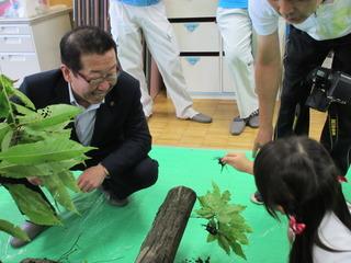 緑のシートにおかれている樹木からカブトムシを捕まえている女児の様子を見ている市長の写真