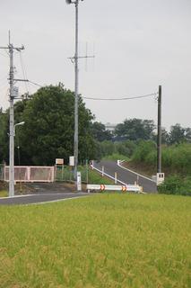 .手前に稲穂を付けた田んぼがあり、奥に道路が通っている写真