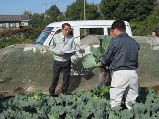 収穫された作物を手に取り見せている関係者の人の説明を聞いている市長の写真
