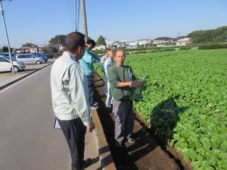 圃場の横の道路で関係者の人から話を聞いている市長の後ろ姿の写真