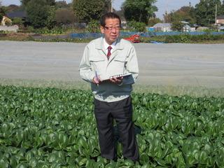 圃場の農作物の間にたちながら審査を行っている市長の写真
