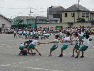 綱引きで転びながらも懸命に綱を引いている児童たちの写真