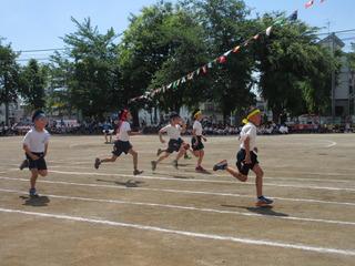 徒競走が行われており、青、黄色、赤のハチマキを締めた児童が一生懸命に走っている写真