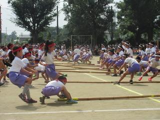赤と白のチームに分かれて、児童体が棒を引っ張りあっている競技の写真