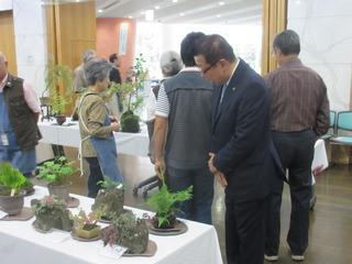 会場の机の上に並べられている盆栽を市長が興味深く見ている写真