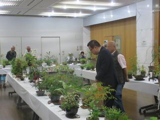 市長が、机に並べられている鉢植えの植物を見ており、市長の後ろに緑色ベストを着た男性の話を聞きながら、鉢植えを見ている写真