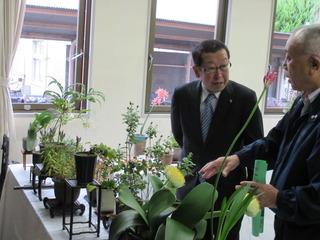 机の上に沢山の鉢植えが展示されており、市長が年配の男性と話をしている写真