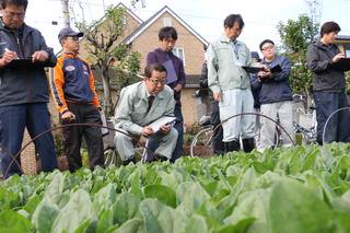 大井営農研究会立毛審査会にて、市長が緑色に育っている野菜を腰をかがめてじっと見ており、周りの人も野菜の様子を見たり、メモをとったりしている様子の写真