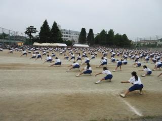 全員で準備体操の開脚をしている写真