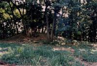 薄暗い林の中にある権現山古墳群2号墳の写真