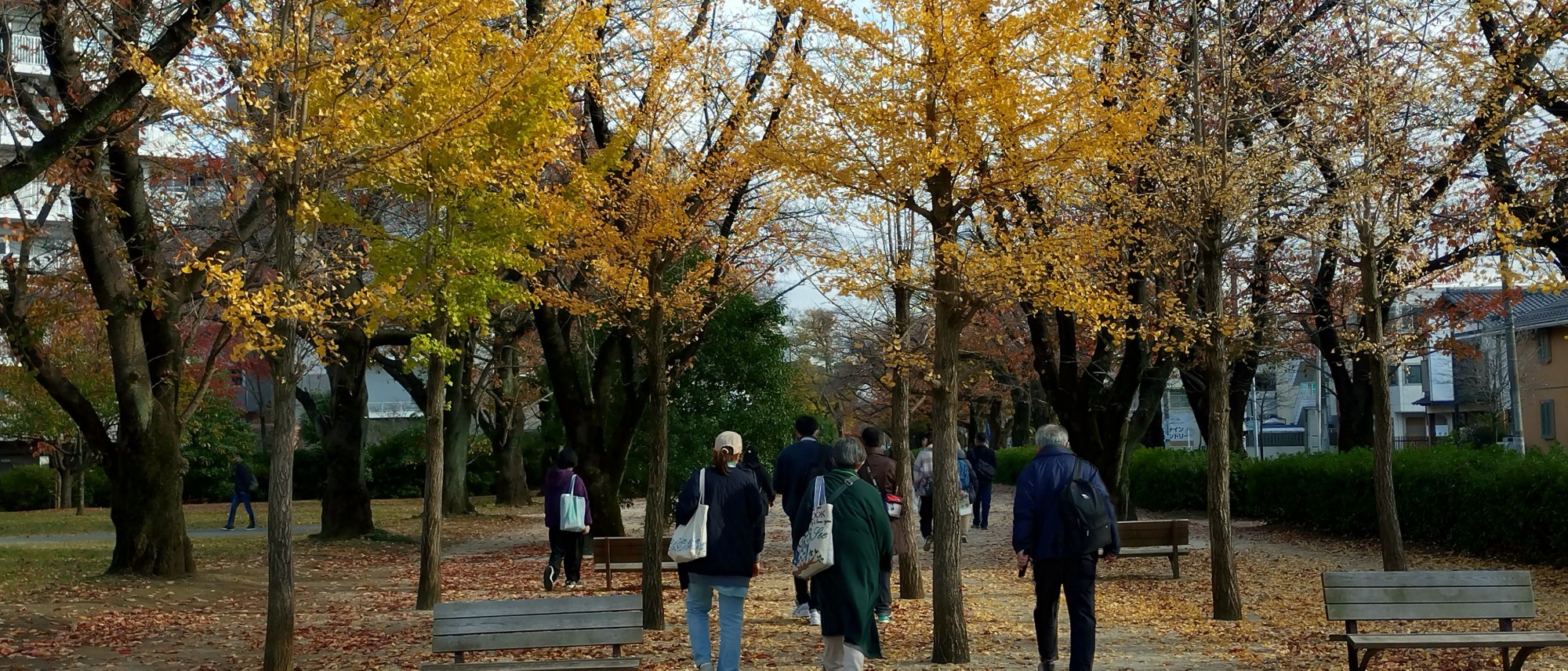 令和7年度第2回やさしい日本語まちさんぽツアー福岡中央公園
